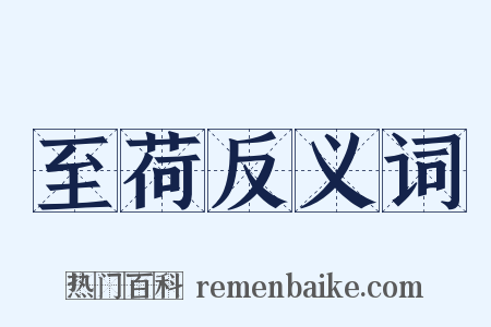 至荷反义词是什么意思的图片